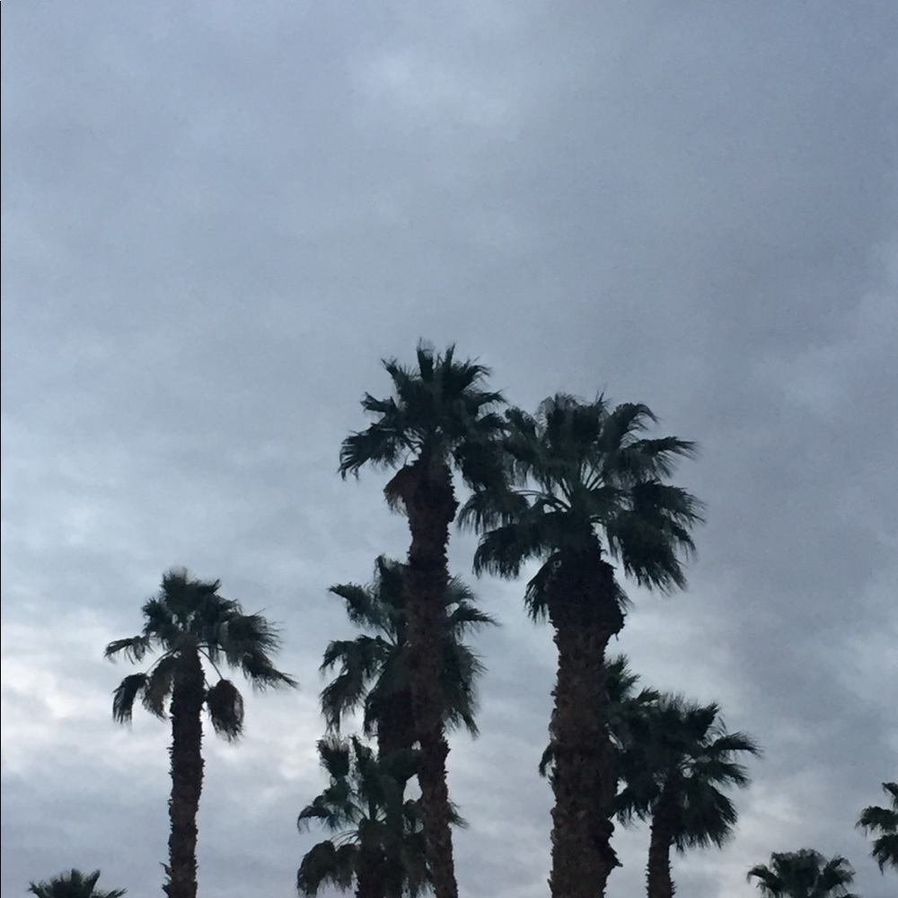 Meet your Posher, Holly